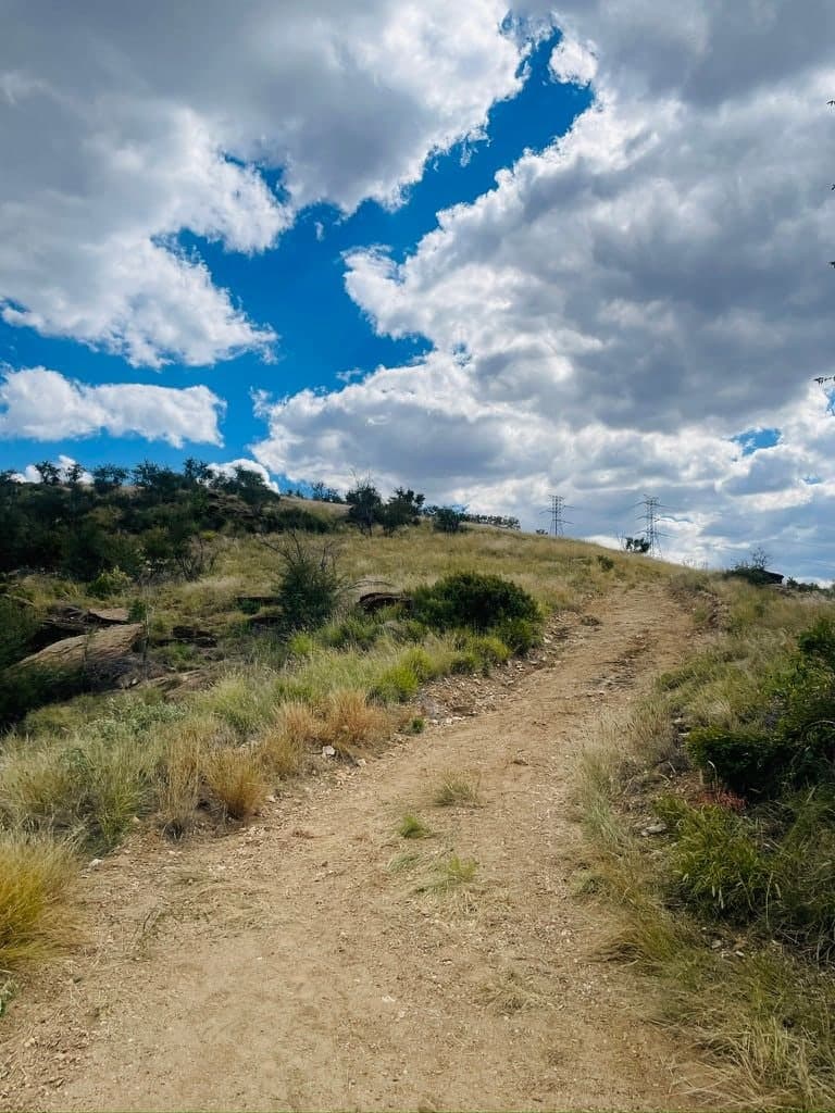 A dirt track climbing a grassy hill under broken cloud