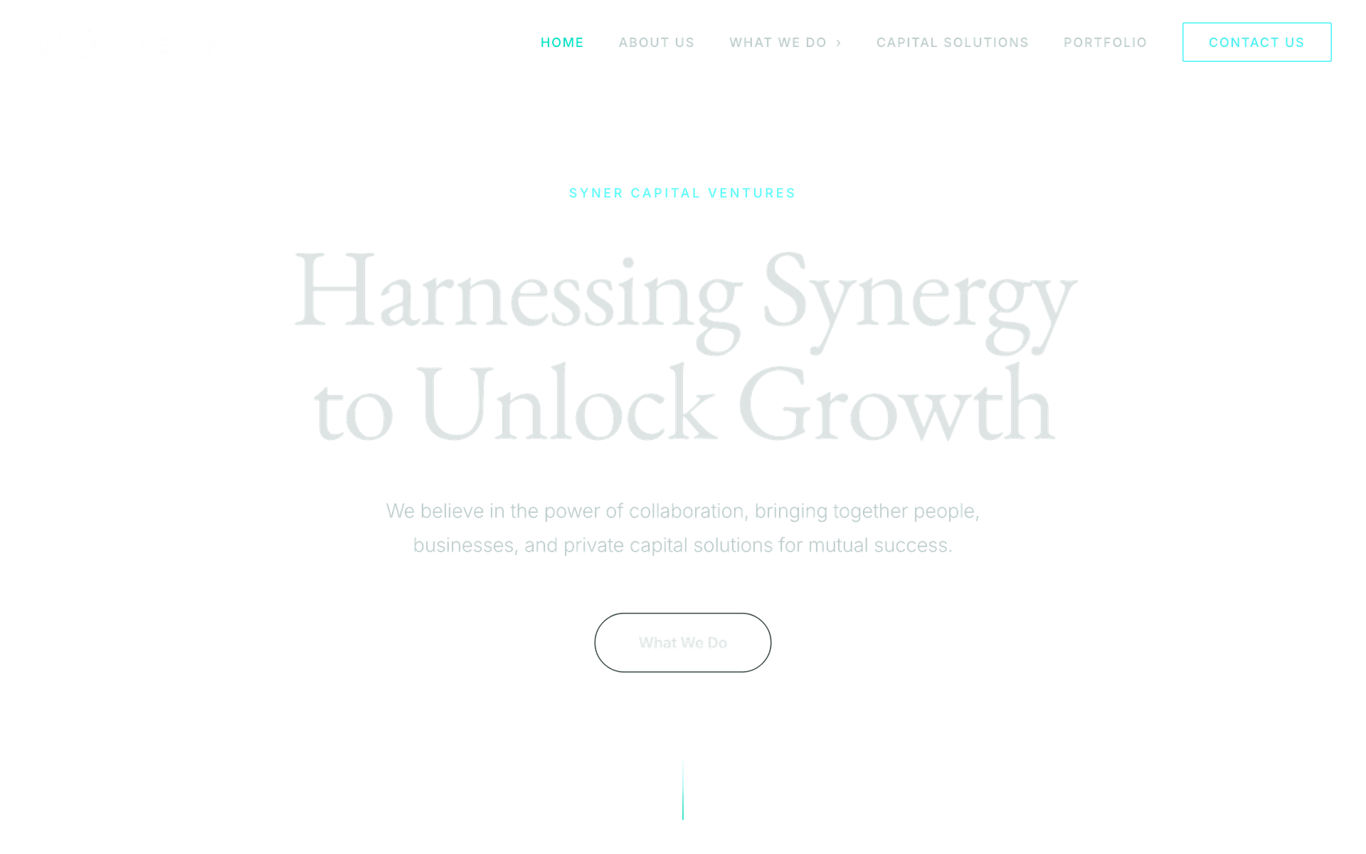 The SynerCap homepage, with the headline “Harnessing Synergy to Unlock Growth”
