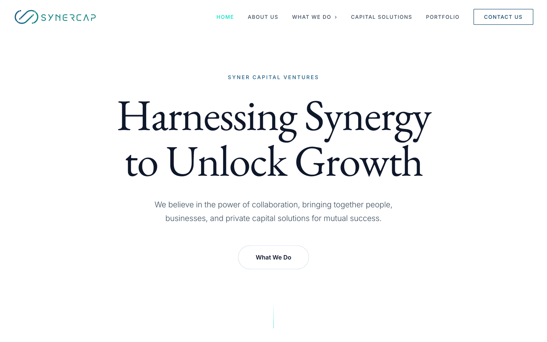 The SynerCap homepage, with the headline “Harnessing Synergy to Unlock Growth”